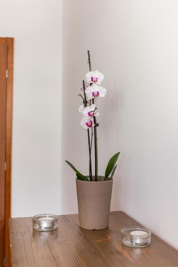 Mountain Charm Apartment ครานสกา โกรา ภายนอก รูปภาพ